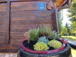 a garden in a barrel with plants in it at Slavotova hiža in Mračin