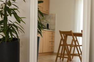a kitchen with a potted plant and a chair at Diame Suite - Tzivelekidou in Chrysoupolis