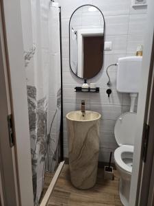 a bathroom with a toilet and a mirror at Moreto in Slano +18 photos