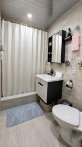 a bathroom with a toilet and a sink and a shower at Bereka Apartment in Mtskheta in Mtskheta +44 photos