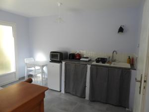 a kitchen with a sink and a counter with a microwave at le studio de la salamandre in Cadillac