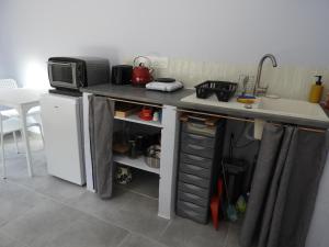a kitchen counter with a microwave and a refrigerator at le studio de la salamandre in Cadillac +13 photos
