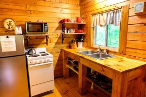 a kitchen with a refrigerator and a sink at Wren's Nest in Logan