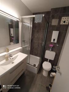 a bathroom with a shower and a toilet and a sink at Holidayapartment Bella Napoli in Liblar
