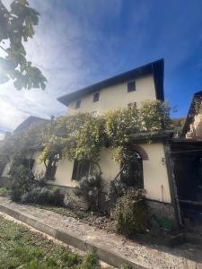 a white house with a tree in front of it at Il Brolo in Avenone +17 photos