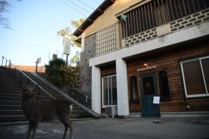 a deer standing in front of a building at The Deer Park Inn in Nara