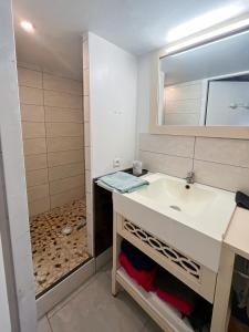 a bathroom with a sink and a mirror at La caravane du Farfadet in Flangebouche