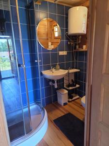 a bathroom with a shower and a sink and a mirror at Niebieski domek na Kaszubach in Dziemiany