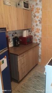 a kitchen with a counter with a microwave on top at Fa-mìlia Vendègház in Tiszavasvári