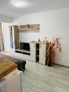 a living room with a tv and a couch and a table at Apartament Alfa Saturn in Saturn