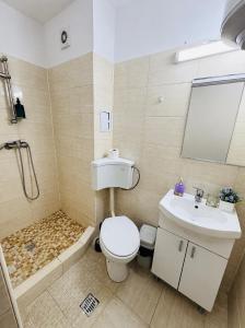 a bathroom with a toilet and a sink and a shower at Apartament Alfa Saturn in Saturn +5 photos