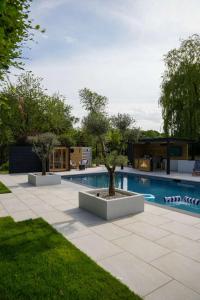 a swimming pool with two trees in a yard at Serenity Villa in Beccles
