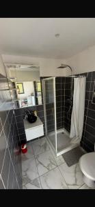 a bathroom with a shower and a sink and a toilet at Studio dans une villa in Perpignan