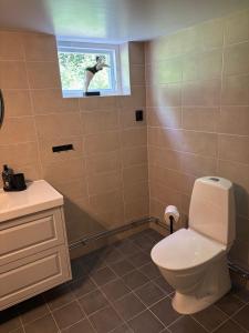 a bathroom with a toilet and a sink and a window at Gillestugan in Rättvik