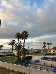 a view of a park with palm trees at Chez Bouchra suite Royal in Pont Blondin +5 photos