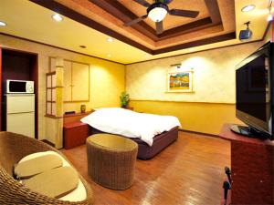 1 dormitorio con 1 cama y TV en una habitación en Hotel Joy (Adult Only), en Komaki
