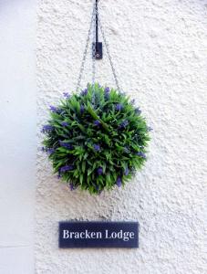 a sign for a plant hanging on the side of a building at Kates Cottages Bracken Lodge in Spott