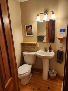 a bathroom with a toilet and a sink at Le Triangle de l'île - Chambre La Jardin in Saint-Laurent-de-l'ile d'Orleans