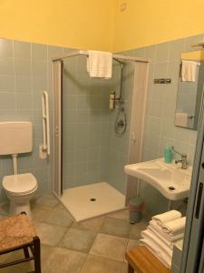 a bathroom with a shower and a toilet and a sink at Agriturismo Is Conchisceddas in Gonnosfanàdiga +172 photos