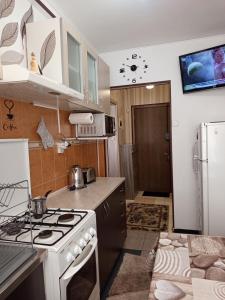 a small kitchen with a stove and a refrigerator at Modern Beach Apartment in Constanţa