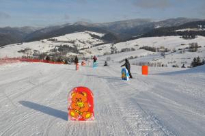 Σκι σε αυτό το διαμέρισμα ή εκεί κοντά