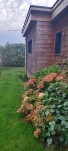 a bush of flowers next to a building at Chambres d'hôtes de Cécile in Notre-Dame-dʼAllençon