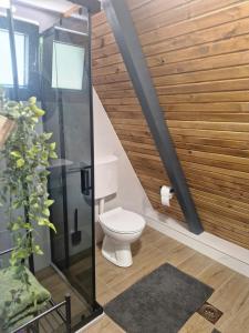 ein Badezimmer mit Toilette und einer Holzwand in der Unterkunft Pineta in Nišići