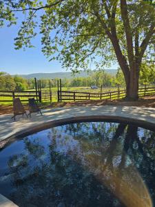a swimming pool with a bench and a tree at Vinewood Estate & Adventures in Purcellville