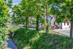 an empty yard with trees and a house at House Majda in Zagreb