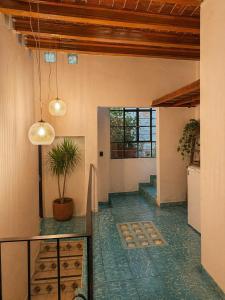a hallway with a potted plant in a room at Casas Balcón Gto in Guanajuato