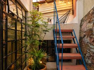 a staircase in a house with some plants at Casas Balcón Gto in Guanajuato
