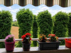 a group of plants in flower pots on a balcony at Room between Milan and Como in Seregno