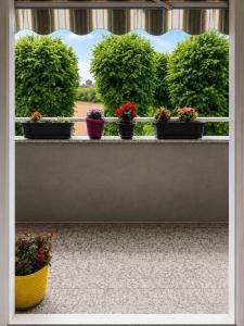 a row of potted plants sitting on a ledge at Room between Milan and Como in Seregno