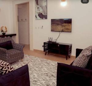 a living room with two couches and a tv at Vancovuer homes in Dodoma