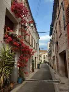 an alley with flowers on the side of a building at La Petite Maison de Caractere Catalan in Argelès-sur-Mer +10 photos