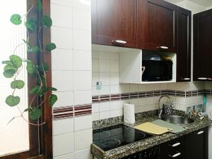 a kitchen with a sink and a counter top at Gascona con Deli in Oviedo