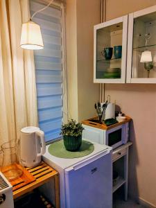 a kitchen with a microwave and a table with a plant on it at Inner Harmony Garden in Kanjiža