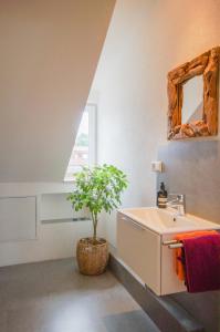a bathroom with a sink and a potted plant at Loft Heidelberg West in Heidelberg +16 photos