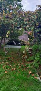 a park bench sitting in the grass under a tree at Chambres d'hôtes de Cécile in Notre-Dame-dʼAllençon