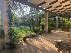 an outdoor patio with a pergola and plants at Agriturismo Monte degli Angeli in Serrano