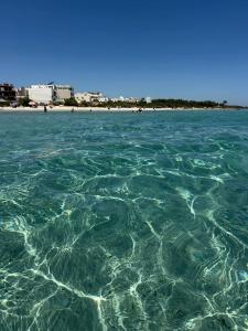 a large body of water with a beach in the background at Dar ATTIA Ezzahra KELIBIA in Ḩammām al Ghazzāz