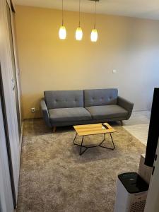 a living room with a couch and a coffee table at Apartmán Košice Nad Jazerom in Košice