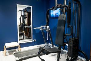 a room with a gym with a mirror and a treadmill at BluePrivateSpa in Latte
