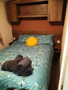 a stuffed teddy bear laying on a bed at Seaside Stay in Camber