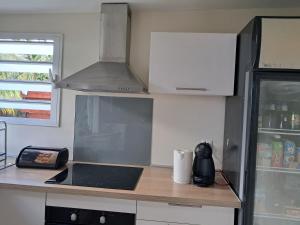 a kitchen with a counter with a stove and a refrigerator at Appart Orangers in Les Orangers