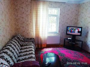 a living room with a couch and a television at Gabala,yard, house in Gabala