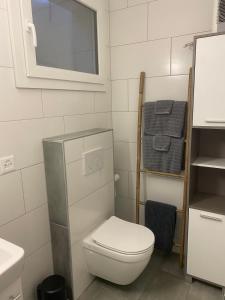a bathroom with a toilet and a sink and a mirror at Studio Redin in Savièse +19 photos