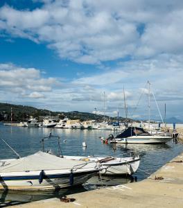 a group of boats are docked in a harbor at Yialos Kalamos in Kalamos