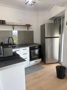 a kitchen with a stainless steel refrigerator and cabinets at Yialos Kalamos in Kalamos +8 photos