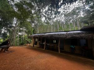 a hut in the middle of a forest at Nimansala Eco Resort in Parakaduwa